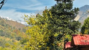 Paisaje montañoso con un edificio de techo rojo, parcialmente oculto por una vegetación exuberante.