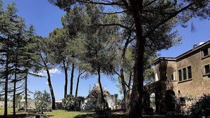 A courtyard with tall trees, a stone building, and a gazebo. - Casa Vega D: A welcoming cottage in the characteristic style of the Apulian countryside, with Free WI-FI. (San Vito dei Normanni)