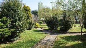 Un sendero en un jardín con arbustos y árboles diversos, un borde de piedra y cielo despejado.