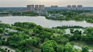 Un río con un puente, rodeado de vegetación y edificios al fondo.