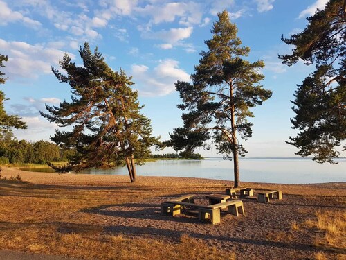 Pure Sweden - Holiday home in a secluded location on Lake Vänern on a large natural plot