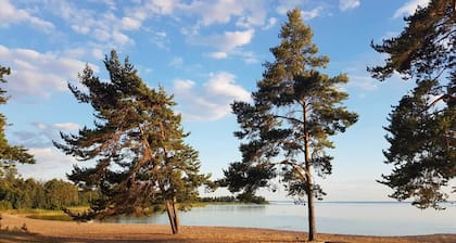 Pure Sweden - Holiday home in a secluded location on Lake Vänern on a large natural plot