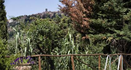 VILLA SERENA x6 Beautiful villa surrounded by nature, with swimming pool just 1 km from Cortona
