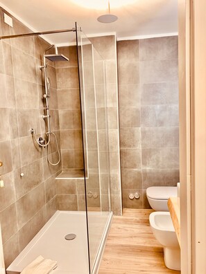 Shower, hair dryer, bathrobes, slippers