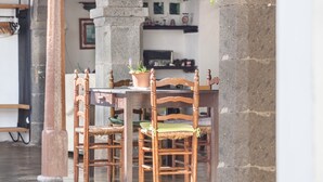 A dining area with a table, chairs, and a potted plant. - Holiday Home "Casa Pollo Buen Lugar" with Rustic Charme & Terrace (Buenlugar)