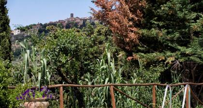 DEP. SERENELLA x2+2 Beautiful villa surrounded by nature, with swimming pool just 1 km from Cortona