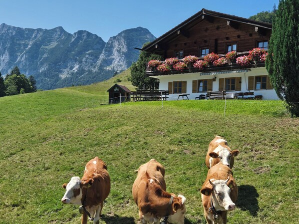 A wooden chalet with a balcony adorned with flowers, set against a backdrop of mountains.