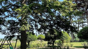Ein Park mit einer Schaukel, einem Kiesweg und einem großen Baum.