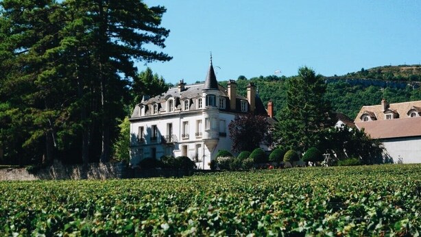 Ein großes, historisches Gebäude mit einem markanten Turm, umgeben von üppiger Vegetation und einem Weinberg.