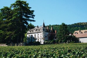 A large, historic building with a prominent tower, surrounded by lush greenery and a vineyard. - Les Hautes Cornières - Apartment (Santenay)