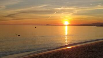 Playa en los alrededores y camastros