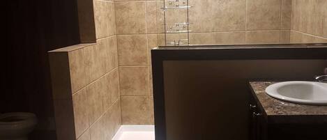 Bathtub, hair dryer, towels, toilet paper