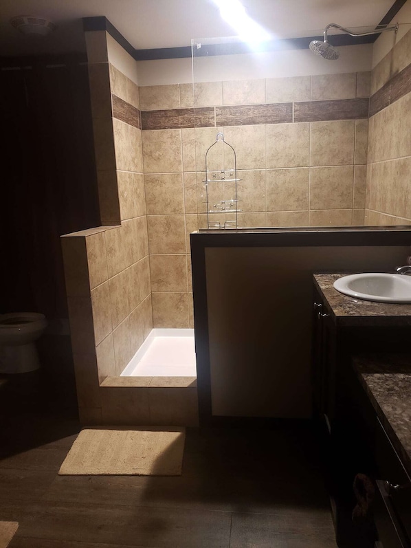 Bathtub, hair dryer, towels, toilet paper