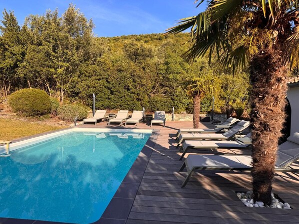 Una piscina con sillas de descanso y una palmera.