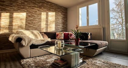 Charming room in a Nevers apartment