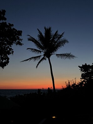 A silhouette of a palm tree against a sunset sky. - Resort style living in corner unit building A! Closest to pool and grill! (Bonita Springs)