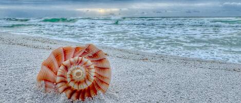 ビーチの近く、サンラウンジャー、ビーチタオル