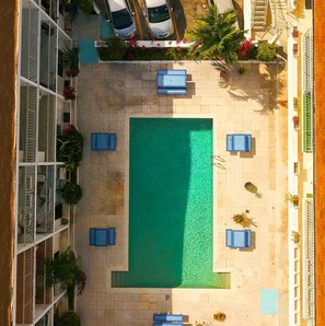 Una piscina en la azotea con cuatro tumbonas, rodeada de plantas en macetas y un edificio con balcones.