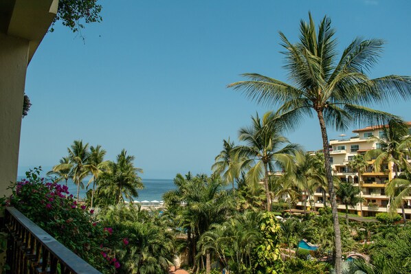 A resort with a view of the ocean, palm trees, and a pool area.