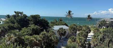 Vista costera con playa de arena, palmeras y cielo azul despejado.