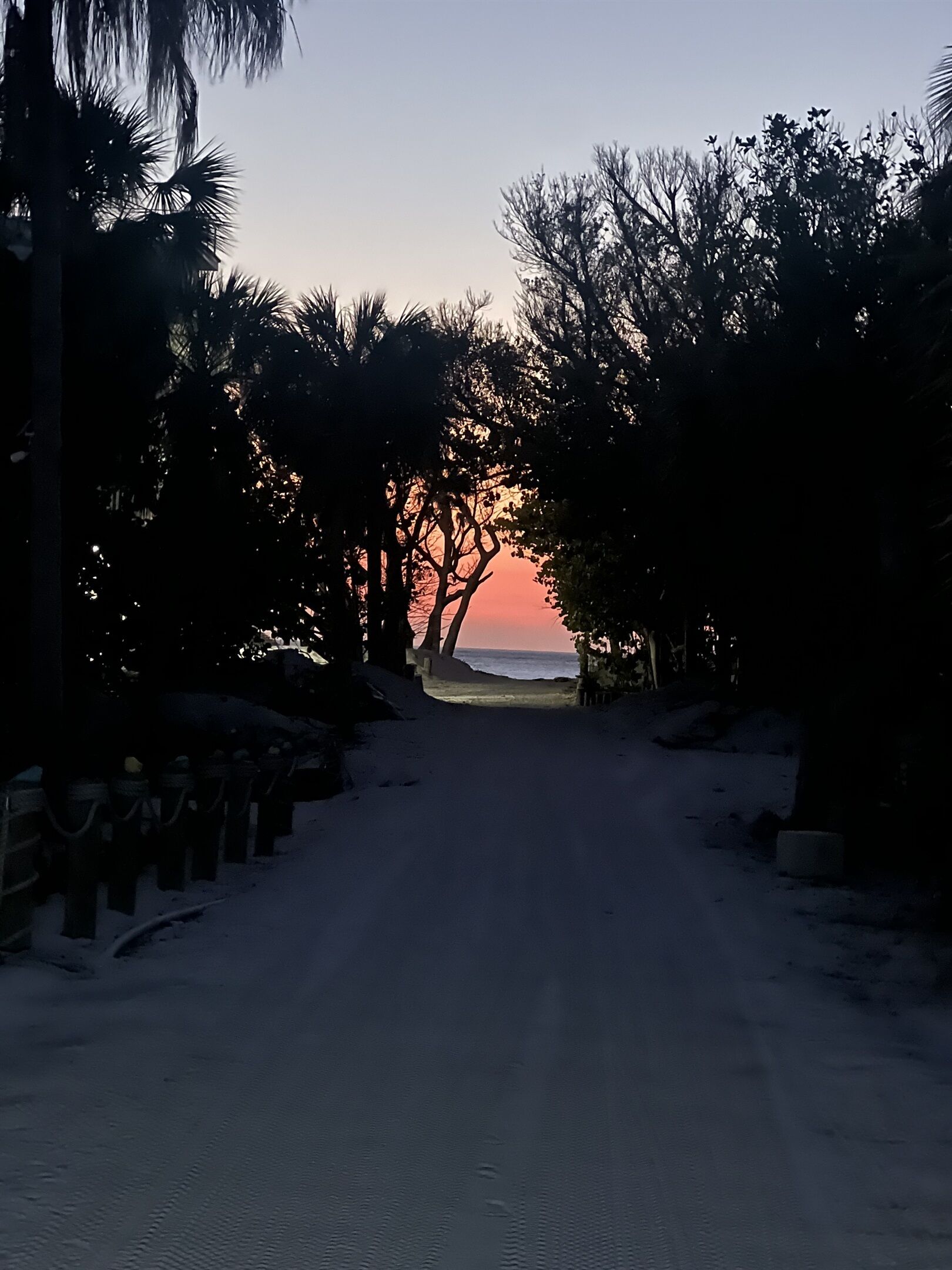 Un sentier enneigé menant à une plage, bordé d’arbres et illuminé par le coucher du soleil.