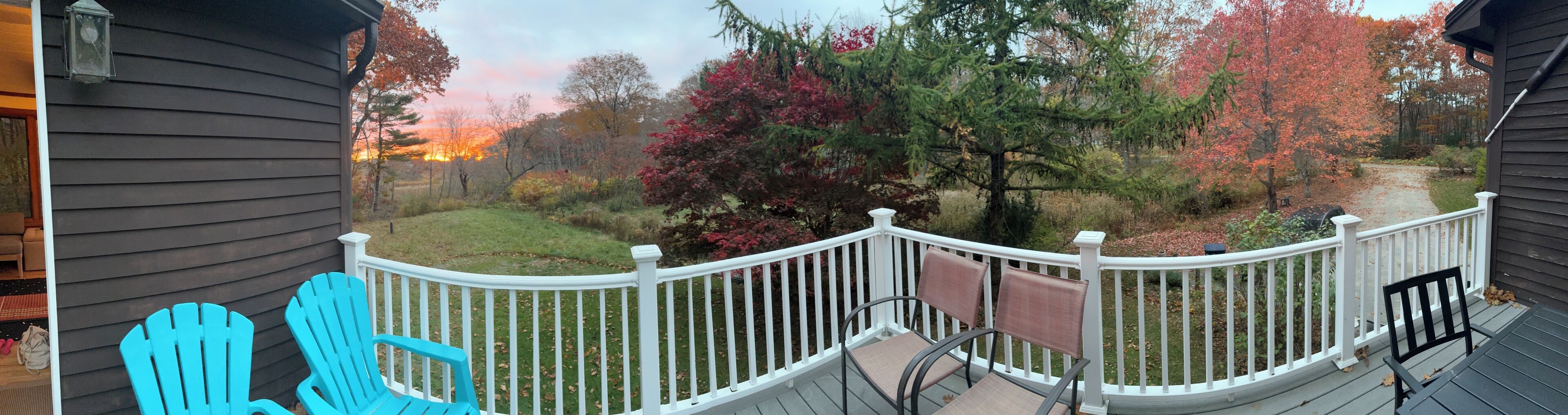 Une terrasse en bois avec une balustrade blanche, donnant sur un jardin arboré et une pelouse.
