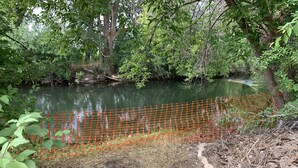 Entorno natural con un estanque, rodeado de árboles y una red de seguridad.