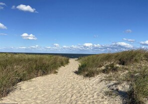 On the beach
