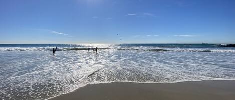 بالقرب من الشاطئ