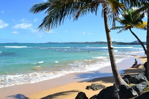 A beach with clear blue water, sandy shore, and palm trees. - Comfortable, Affordable, Short Drive to Beach, Rainforest, and Shopping (Río Grande)