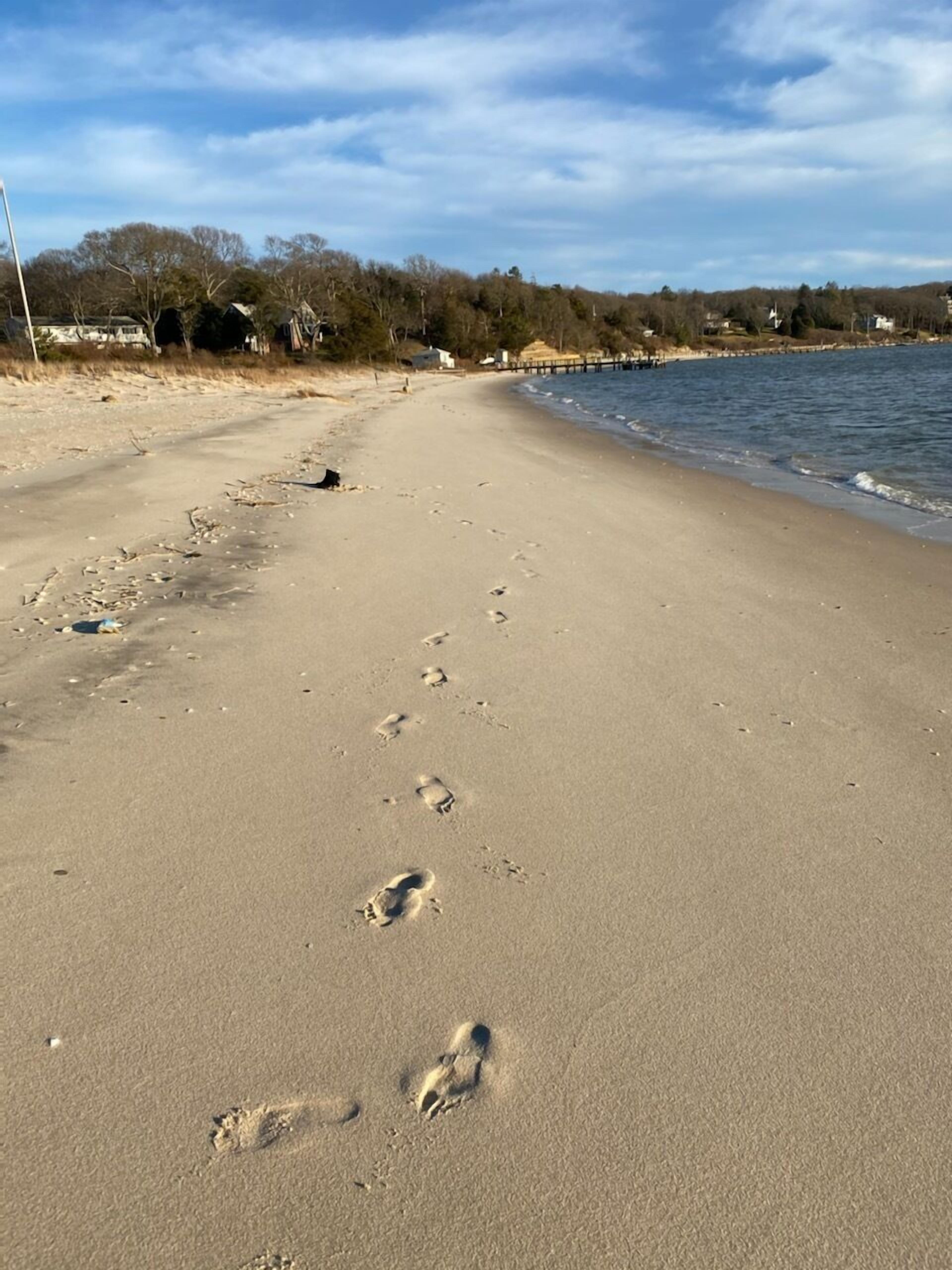 North Fork Wine Country, quiet tree lined street, 4 min walk to beach & bay