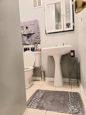 Bathtub, hair dryer, soap