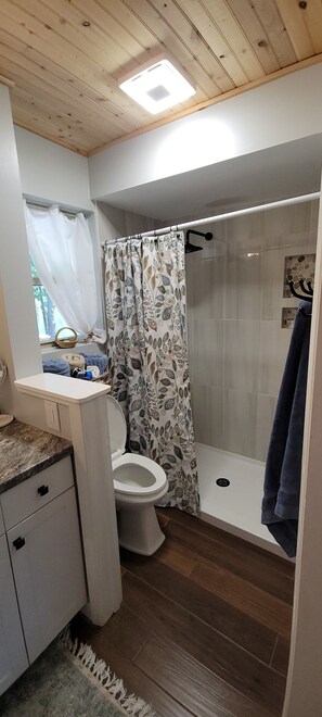 Regadera, secadora de cabello, toallas, papel de baño 