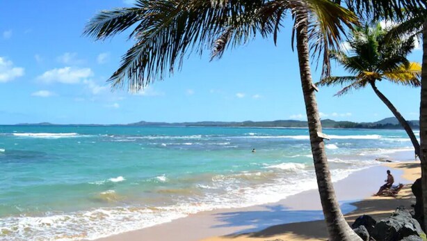 Una playa con agua azul cristalina, palmeras y afloramientos rocosos.