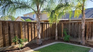 A fenced backyard with a grassy lawn, a small tree, and a wooden fence.