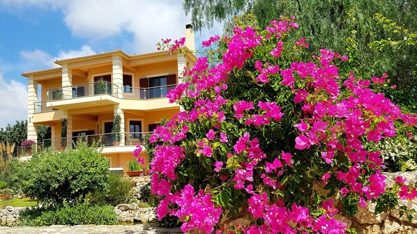 Un edificio de dos pisos con balcones, rodeado de exuberante follaje y vibrantes flores rosadas.