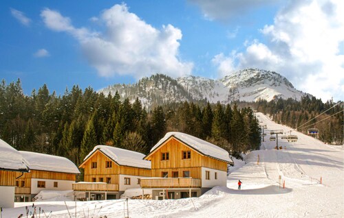 großes Ferienhaus in Altaussee