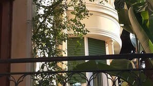 Ein Gebäude mit einer geschwungenen Fassade, einem Balkon mit schmiedeeisernem Geländer und üppigem Grün.