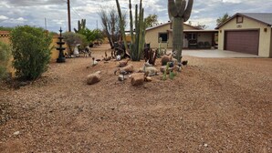 A desert landscape with cacti, a fountain, and a house with a garage. - Beautiful Gated Retreat with Breathtaking Views of the Superstition Mountains (Apache Junction)