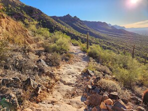A rugged mountain trail with sparse vegetation and cacti, leading towards distant hills under a clear sky.