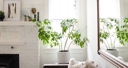 Historic Artists Home in Mapleton Hill