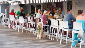 A deck with white chairs and tables, a dog sitting in the middle, and a bar area with bottles and glasses. - Guest Home W/King in Seaside, FL 3 Min Walk to Beach, + 2 Adult Bikes! (Santa Rosa Beach)