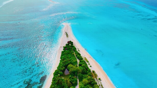 An aerial view of a beach with clear turquoise waters, a sandy shore, and dense green vegetation.