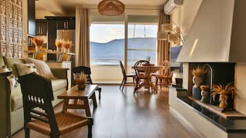 Smart TV, fireplace, books