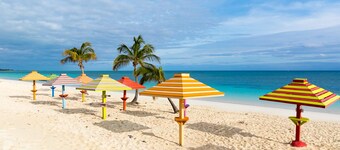 Stunning Oceanfront Condo at Coral Beach unit 1107