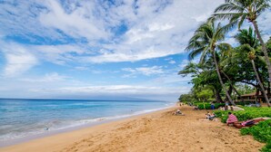Una playa con palmeras, una orilla arenosa y el océano.