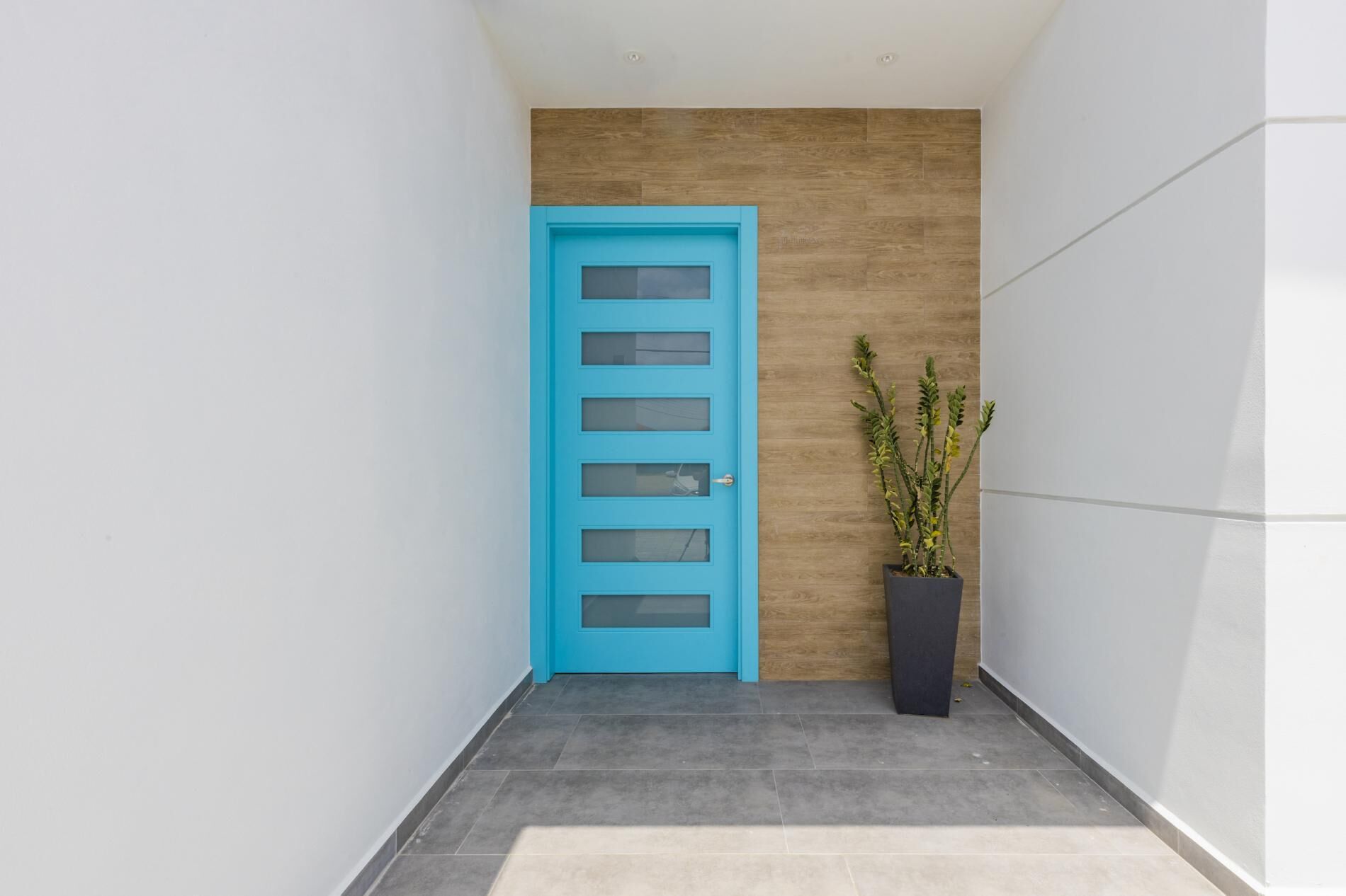 Un couloir avec une porte bleue, une plante en pot et un sol carrelé.