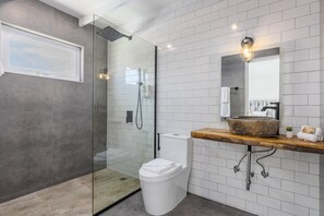 Shower, hair dryer