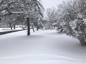 Sneeuw- en skisporten