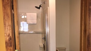 A glass-enclosed shower stall with a handheld showerhead, a toilet, and a towel hanging on the wall. - Catskills Adventures (Roscoe)